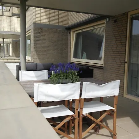 Stern Bergen aan Zee